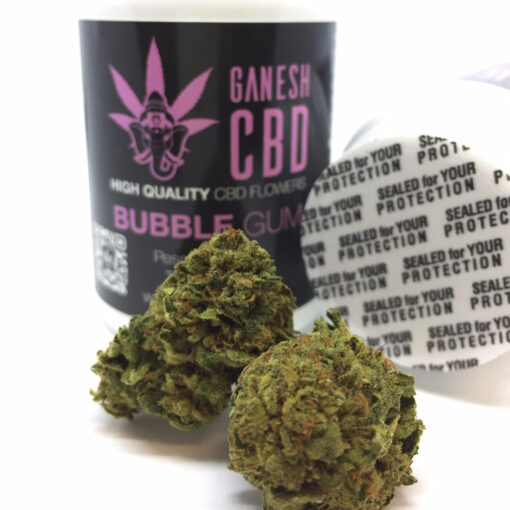 Cannabis Legale Bubble Gum