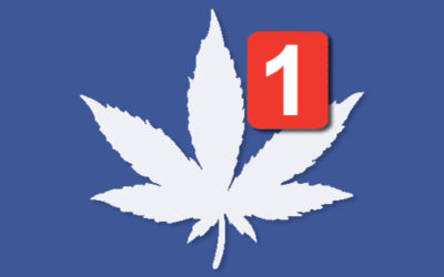 Cannabis e Social network: la guerra delle opinioni