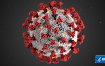 Cannabis coronavirus – resistere nel fulcro della pandemia