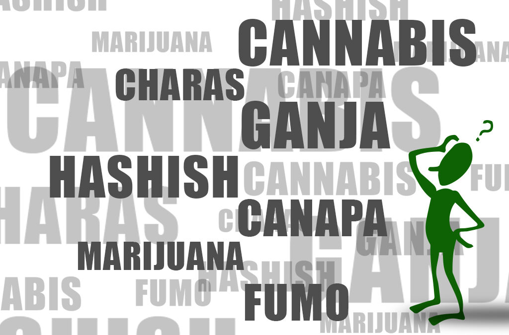 Ganja, marijuana, hashish, charas, canapa, cannabis, cosa sono?