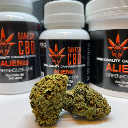 alien23 ganeshcbd cannabis legale