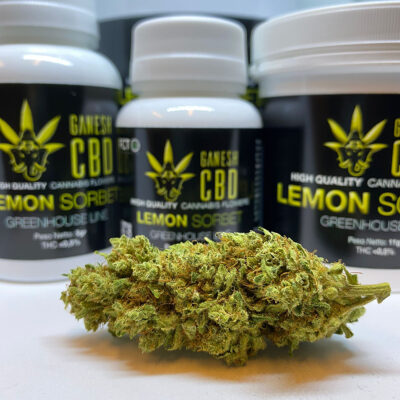 lemon sorbet ganeshcbd cannabis legale