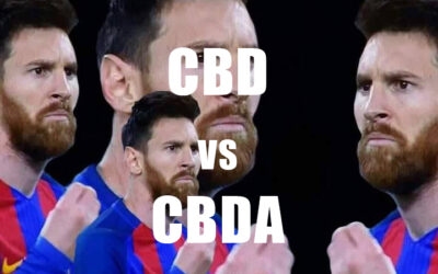 CBD vs CBDA: Conoscere la differenza