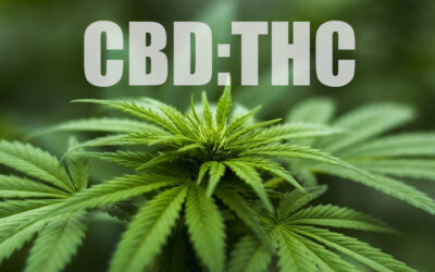 Il Rapporto tra CBD e THC nei Fiori di Cannabis: Un concetto essenziale da comprendere